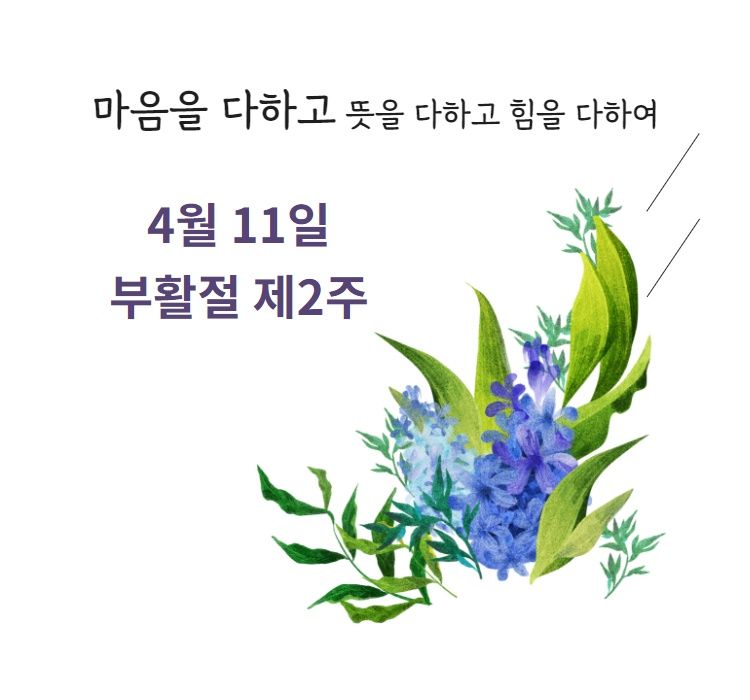 요한복음 1장 43~50절