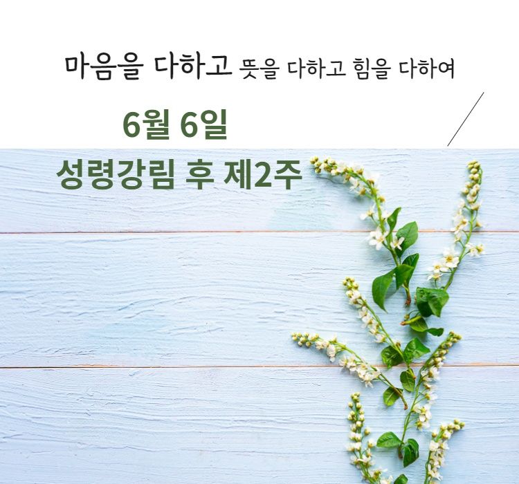 요한복음 8장 31~32절