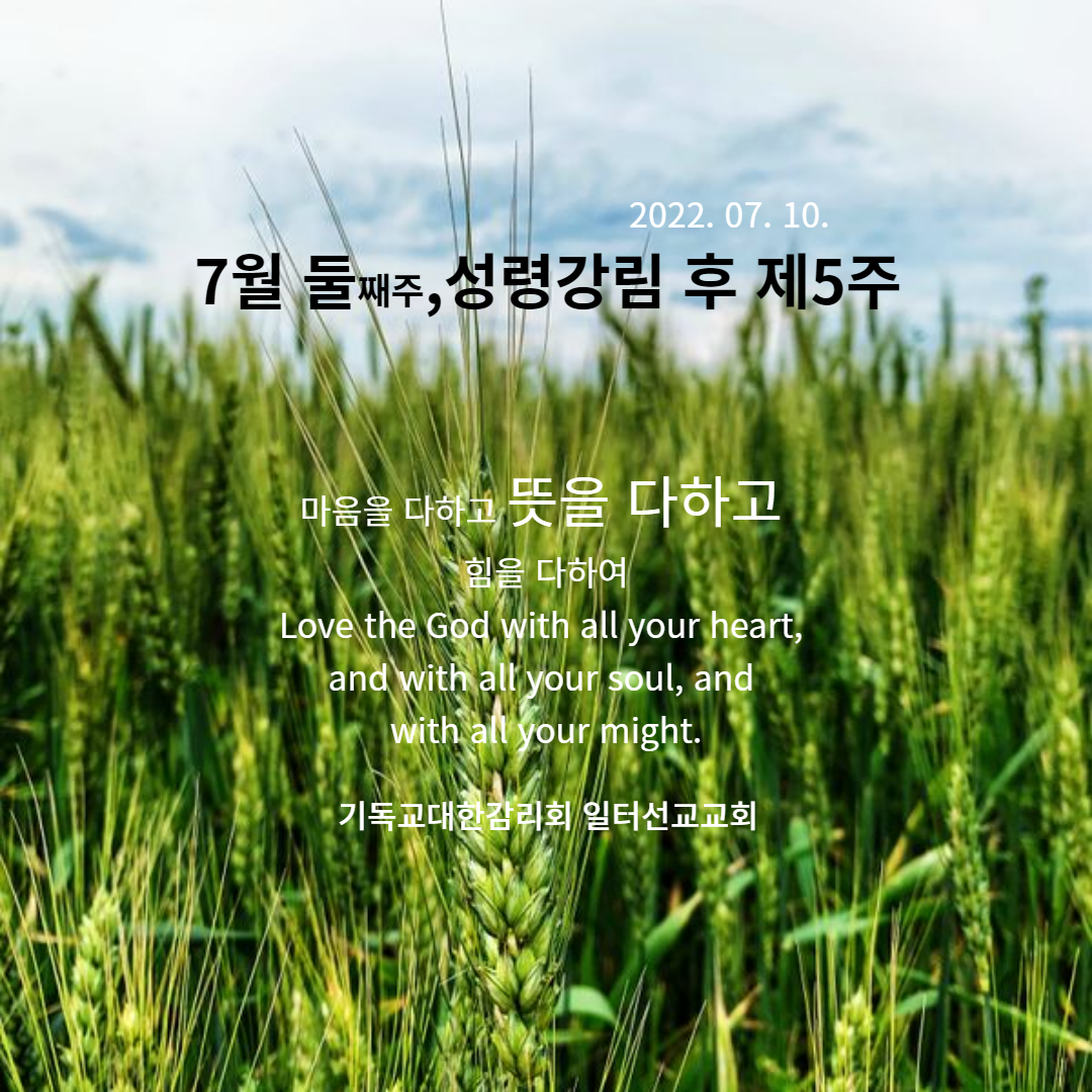 누가복음 10장 26~35절