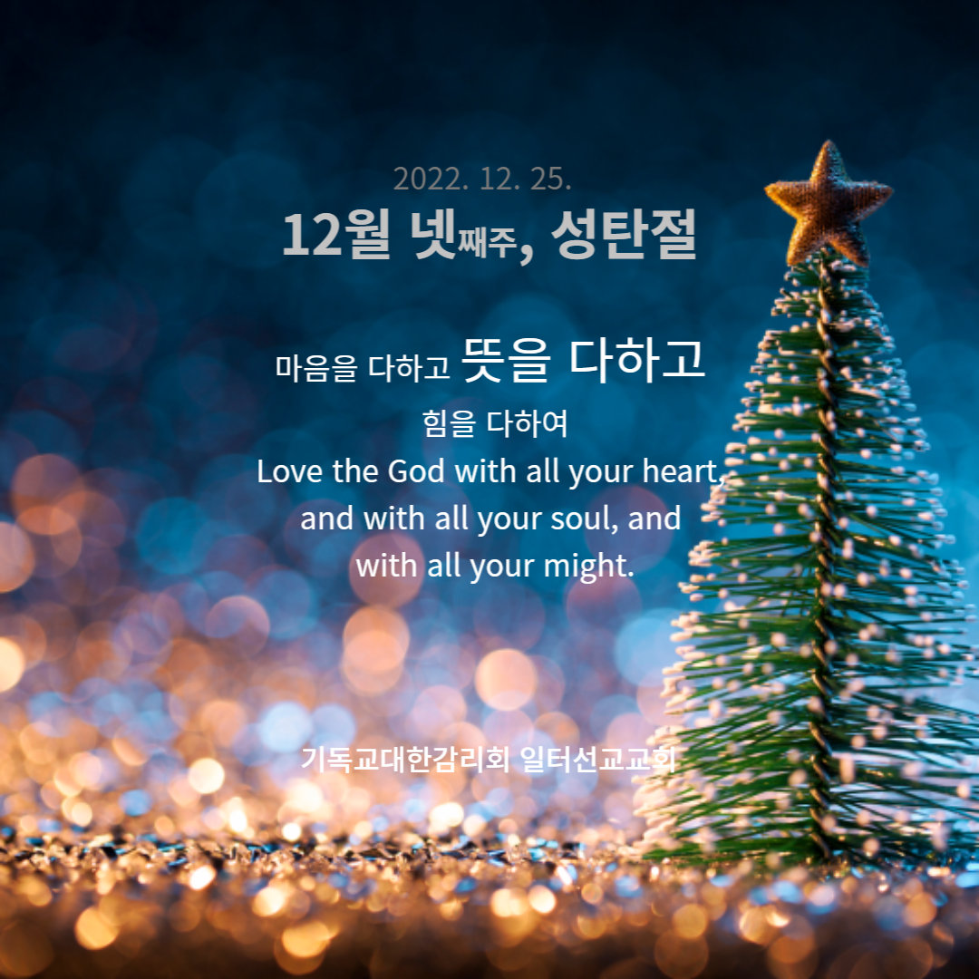 요한복음 1장 1~14절 성탄절