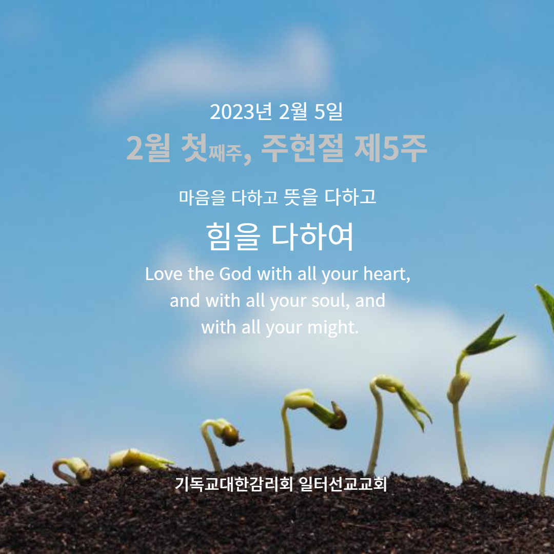 마태복음 5장 13~20절 2월 첫째주, 주현절 제5주