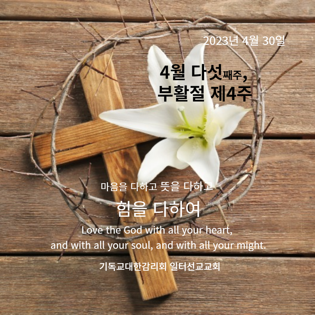 요한복음 10장 1~10절 4월 다섯째주, 부활절 제4주