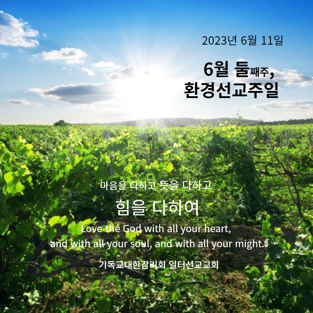 2023년 6월 둘째주일, 환경선교주일