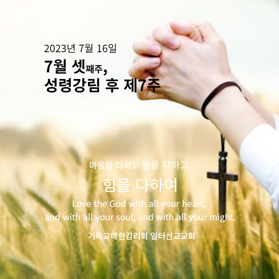 마태복음 13장 1-9, 18-23절, 7월 셋째주, 성령강림 후 제7주