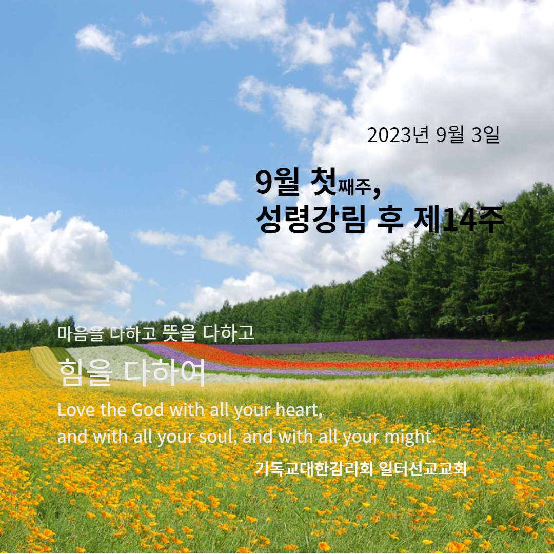 마태복음 16장 21-28절 9월 첫째주, 성령강림 후 제14주