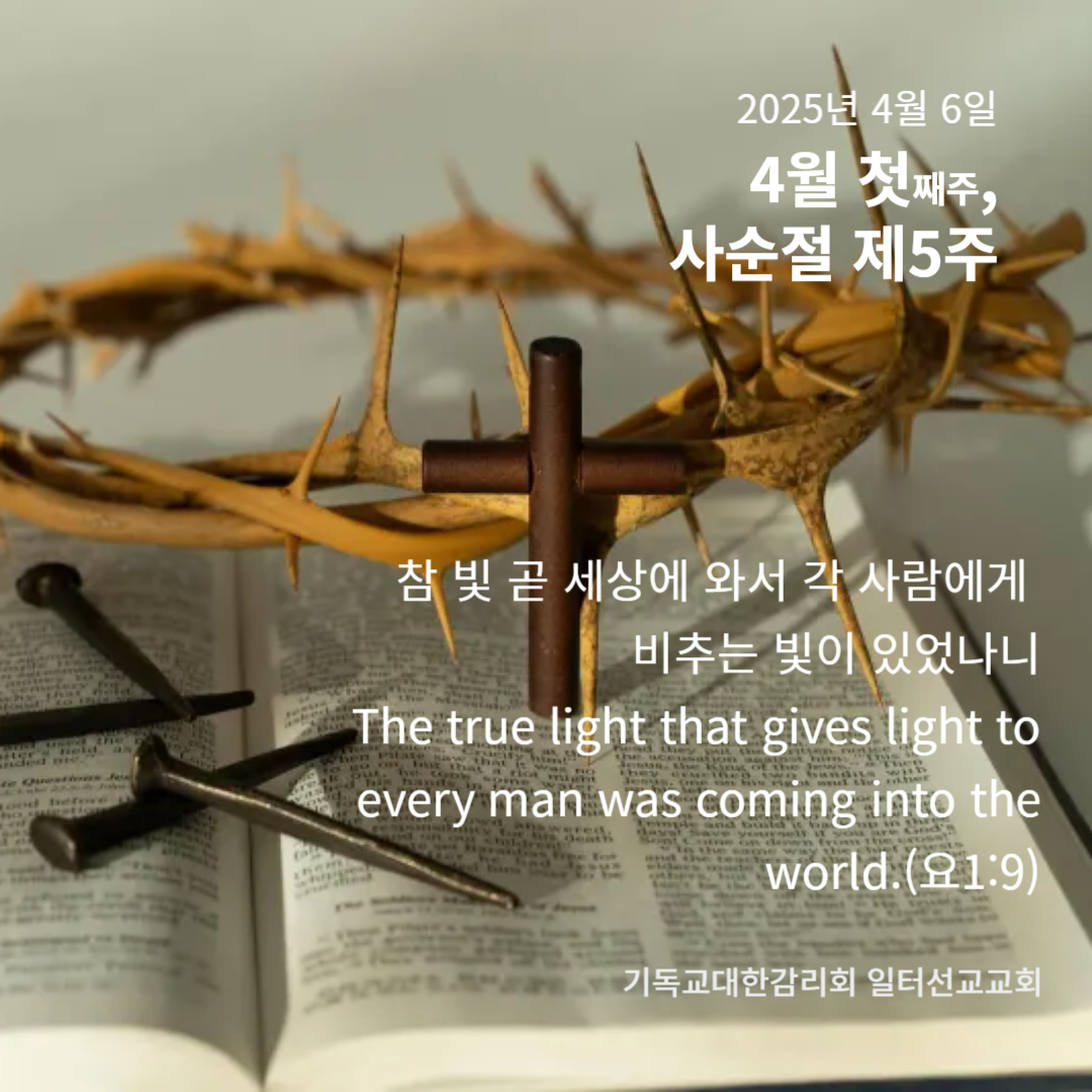 요한복음 12장 1~11절, 4월 첫째주, 사순절 제5주