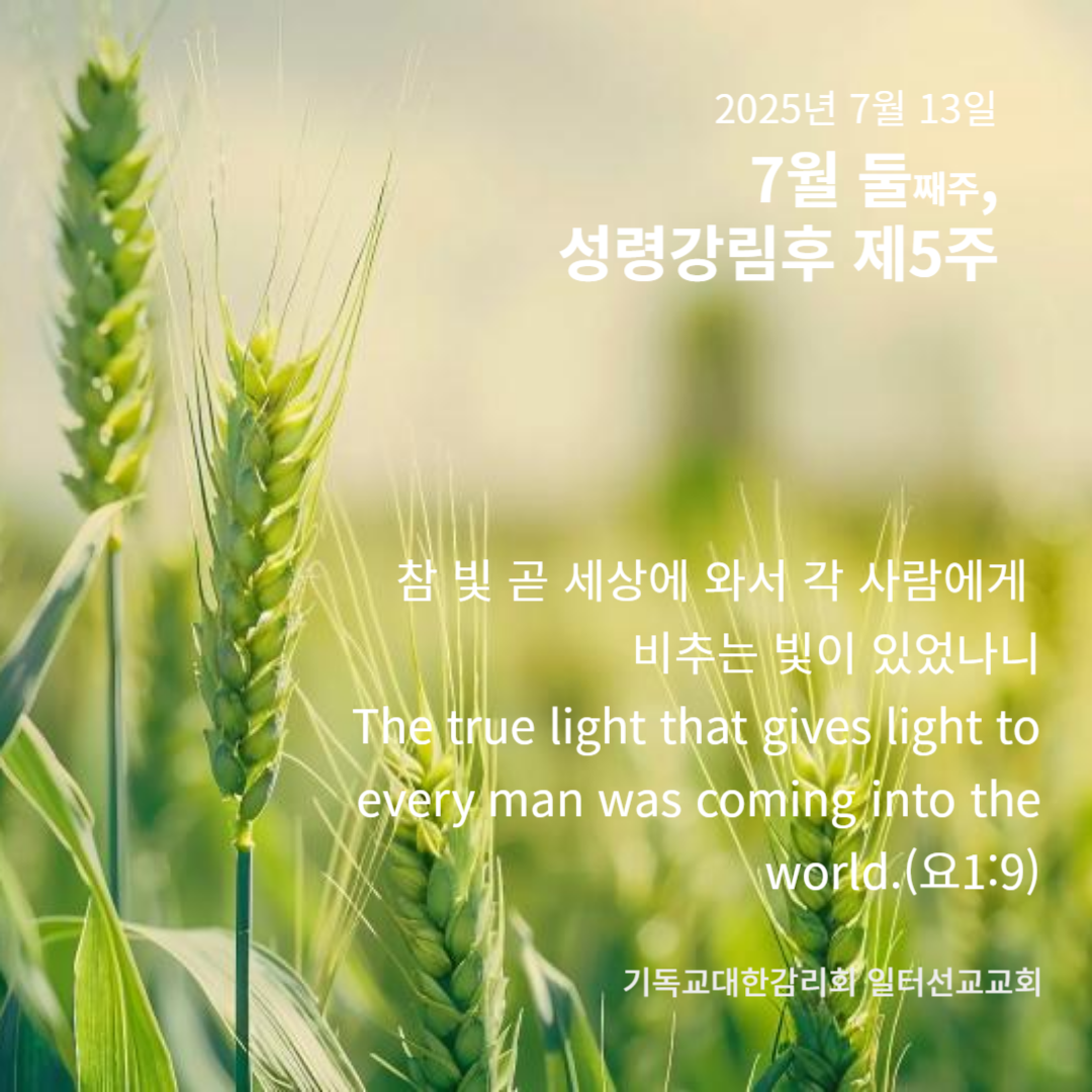 누가복음 10장 25~37절, 7월 둘째주, 성령강림 후 제5주