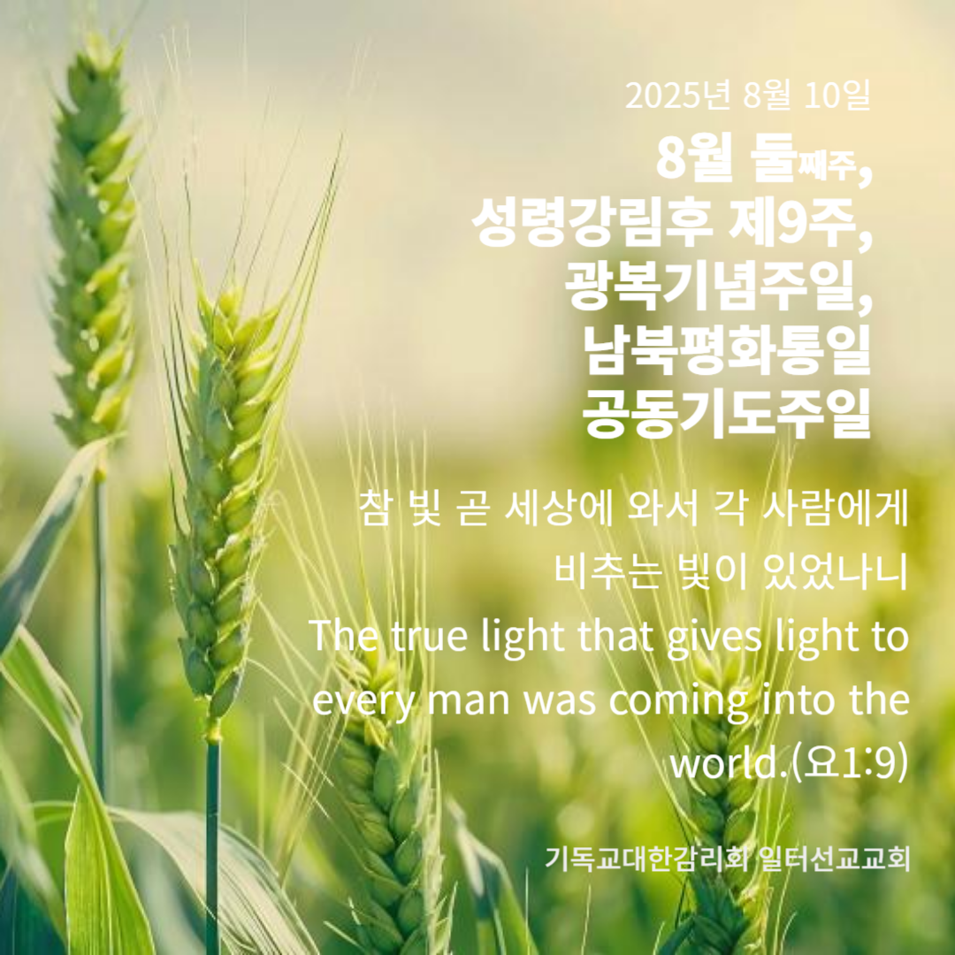 누가복음 12장 32~40절, 8월 둘째주,   성령강림 후 제9주, 광복기념주일,남북평화통일공동기도주일