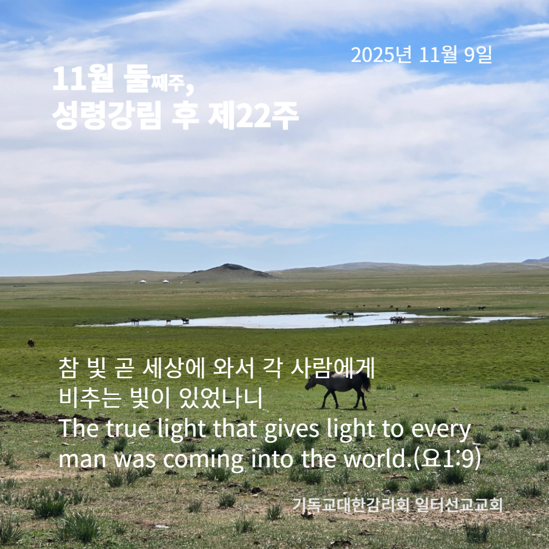 누가복음 20장 27~38절, 11월 둘째주, 성령강림 후 제22주