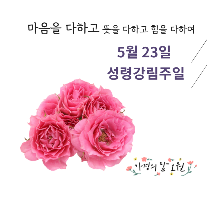 요한복음 6장 47~51절