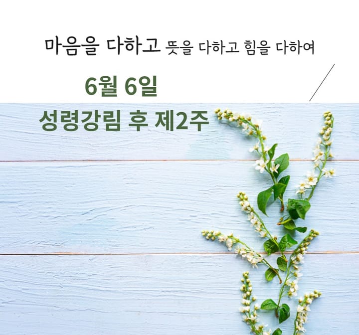 요한복음 8장 31~32절