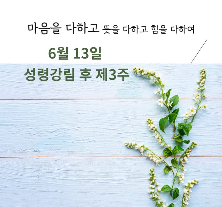 요한복음 9장 26~34절