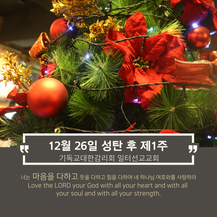 누가복음 2장 41~52절