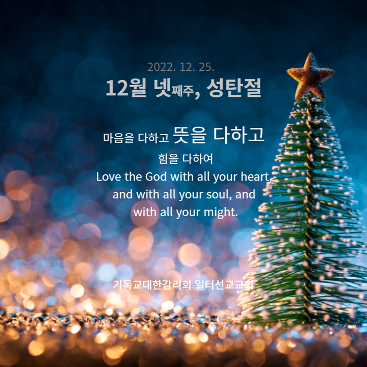 요한복음 1장 1~14절 성탄절