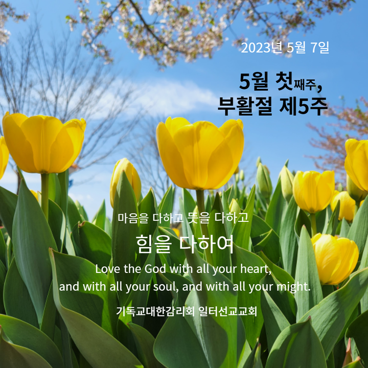 요한복음 14장 1~14절 5월 첫째주, 부활절 제5주