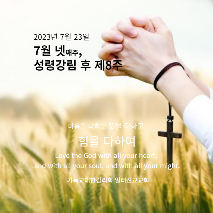 마태복음 13장 24~30, 36~43절 7월 넷째주 성령강림 후 제8주