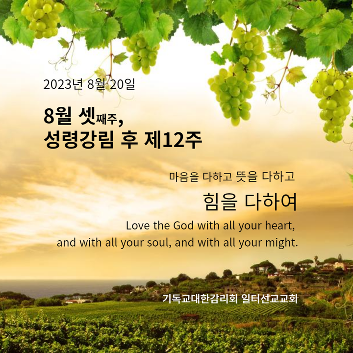 마태복음 15장 21-28절, 8월 셋째주  성령강림 후 제12주