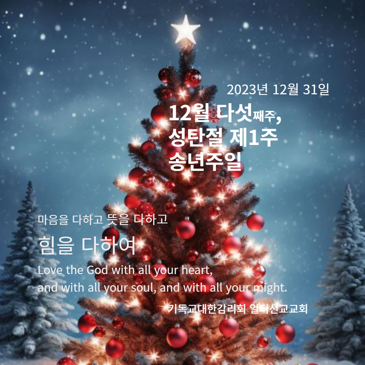 누가복음 2장 22~24절 성탄절 후제1주, 송년주일