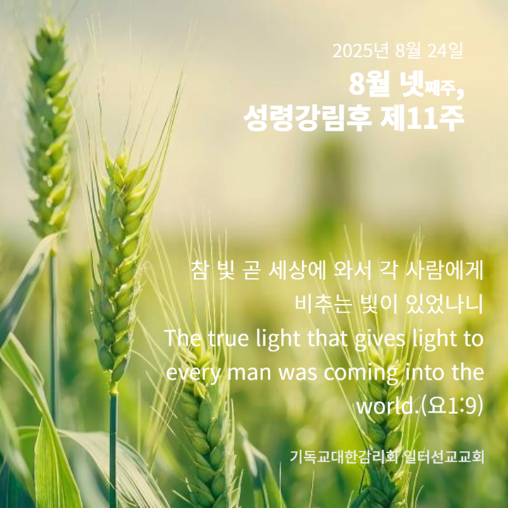 누가복음 13장 10~17절, 8월 넷째주, 성령강림 후 제11주