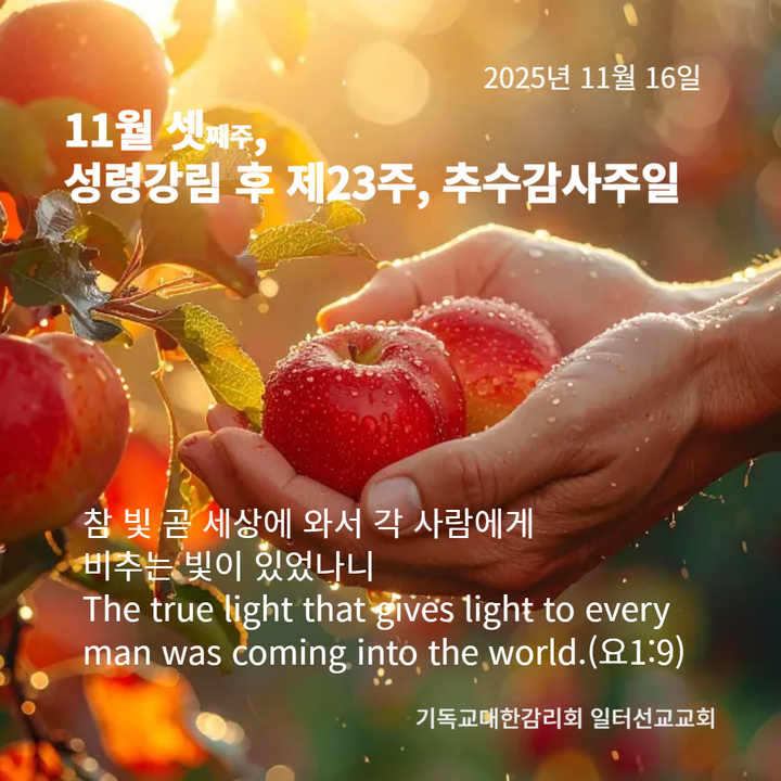 마태복음 25장 1~13절, 성령강림 후제23주, 추수감사주일