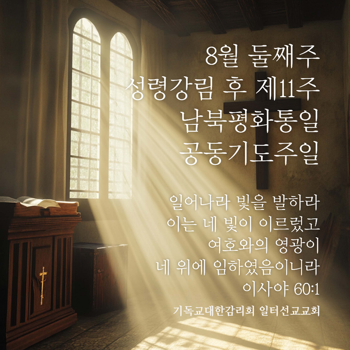 8월 둘째주 성령강림 후 제11주, 마태복음 14장 22~33절