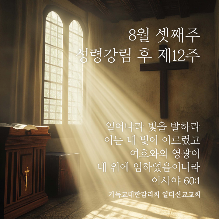8월 셋째주, 성령강림 후 제12주, 마태복음 15장 (10~20), 21~28절